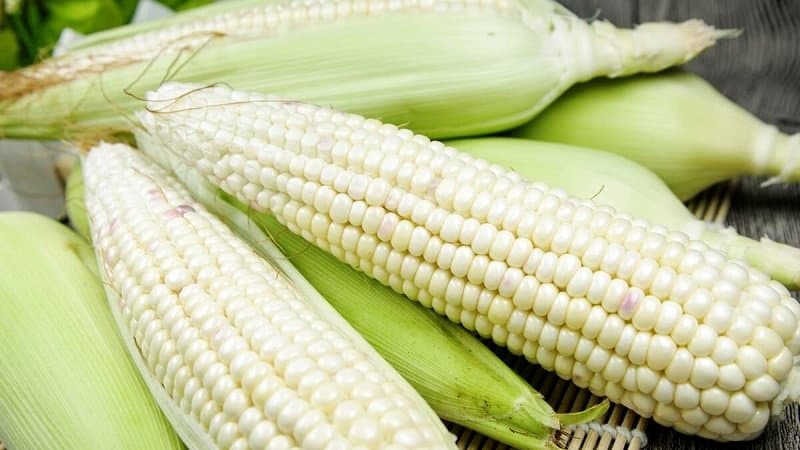 chỉ số đường huyết của ngô nếp