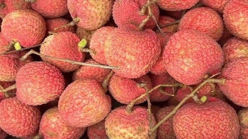 Chỉ số đường huyết của quả vải