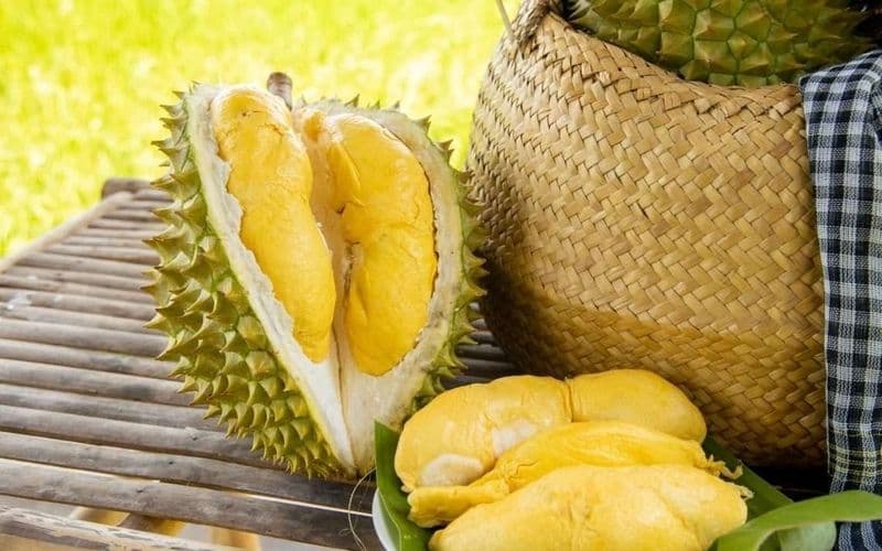 chỉ số đường huyết của sầu riêng