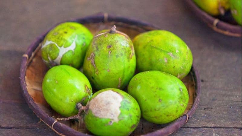 chỉ số đường huyết của quả cóc