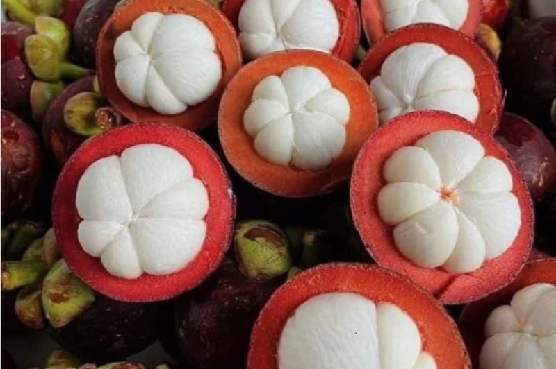 chỉ số đường huyết của măng cụt