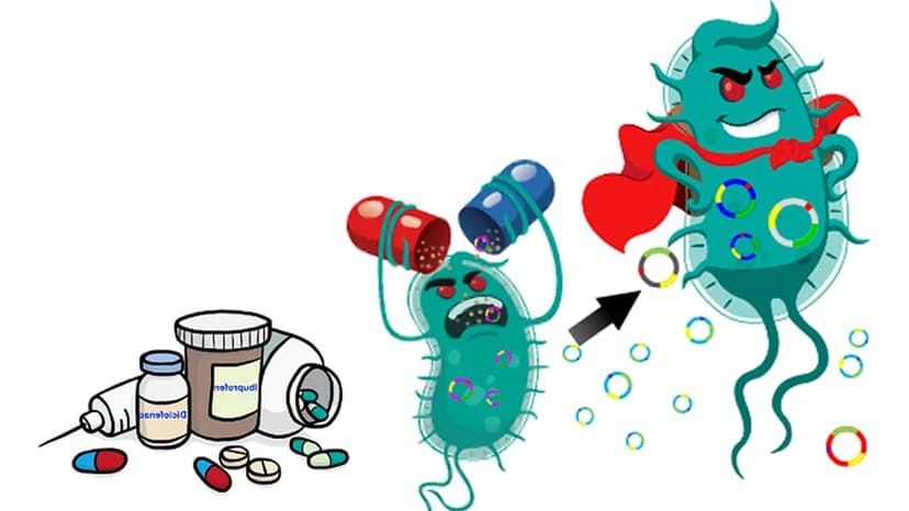 Cơ chế đề kháng kháng sinh của vi khuẩn