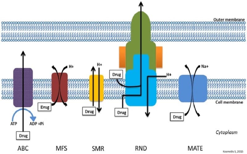 vi khuẩn kháng thuốc kháng sinh theo cơ chế