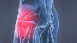 Cơ vòng hậu môn yếu: Vì sao và hậu quả?