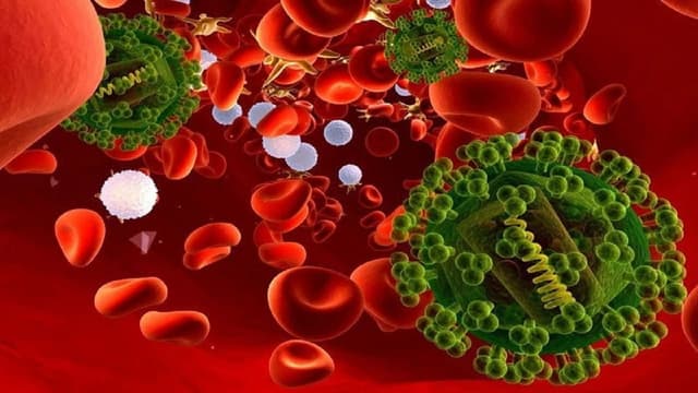 Các dấu hiệu của nhiễm trùng máu