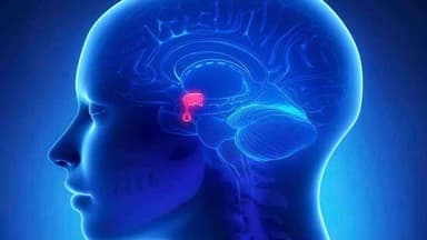 Các dấu hiệu suy tuyến yên