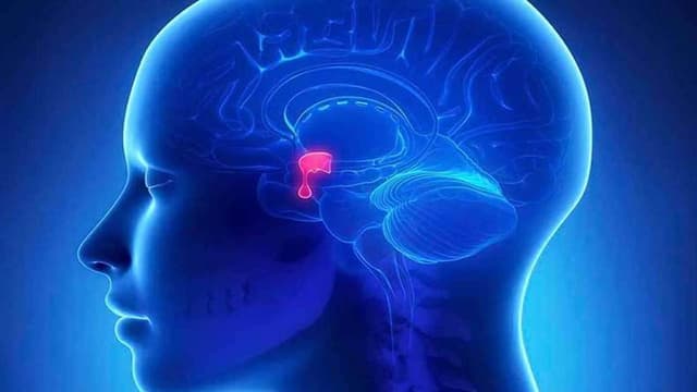 Các dấu hiệu suy tuyến yên