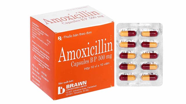 Dị ứng Amoxicillin: Nguyên nhân, triệu chứng