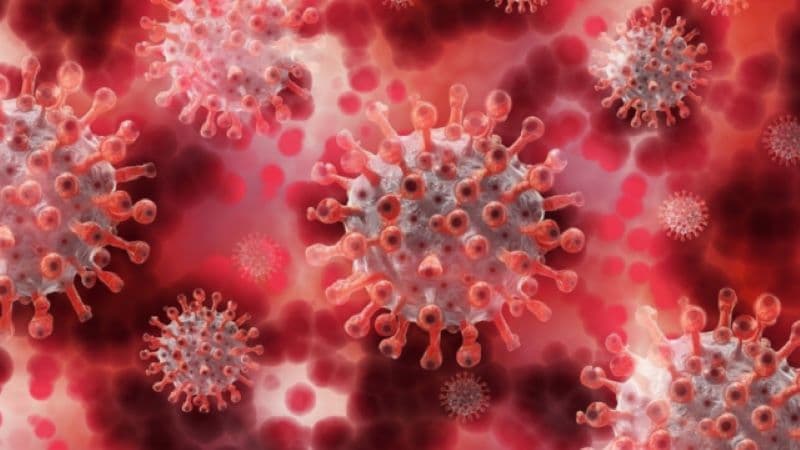 Virus gây bệnh viêm phổi ở người (hMPV) lây lan ở Trung Quốc và Việt Nam là gì?