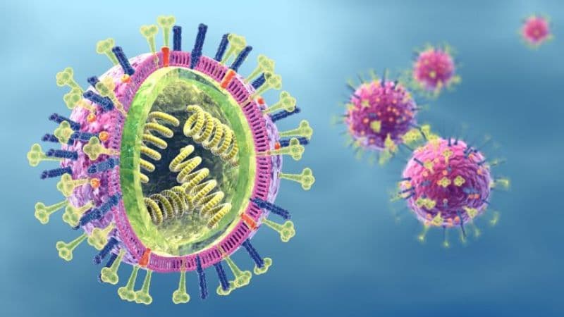 Virus gây bệnh viêm phổi ở người (hMPV) lây lan ở Trung Quốc và Việt Nam là gì?