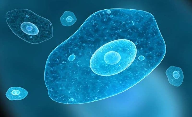 thuốc kháng sinh Metronidazole