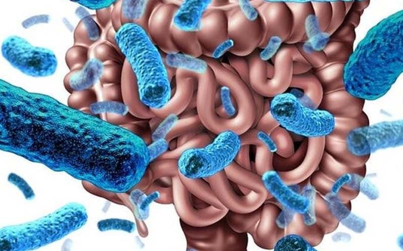 lạm dụng thuốc kháng sinh dẫn đến hậu quả gì