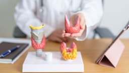 Các hoạt chất chính trong điều trị suy giáp