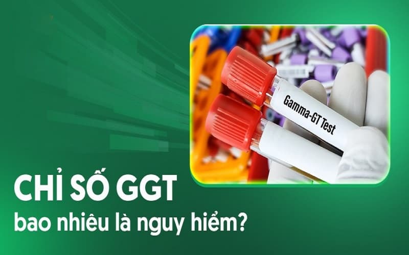 chỉ số GGT trong máu cao