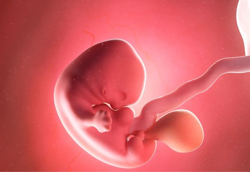 hội chứng ruột kích thích khi mang thai