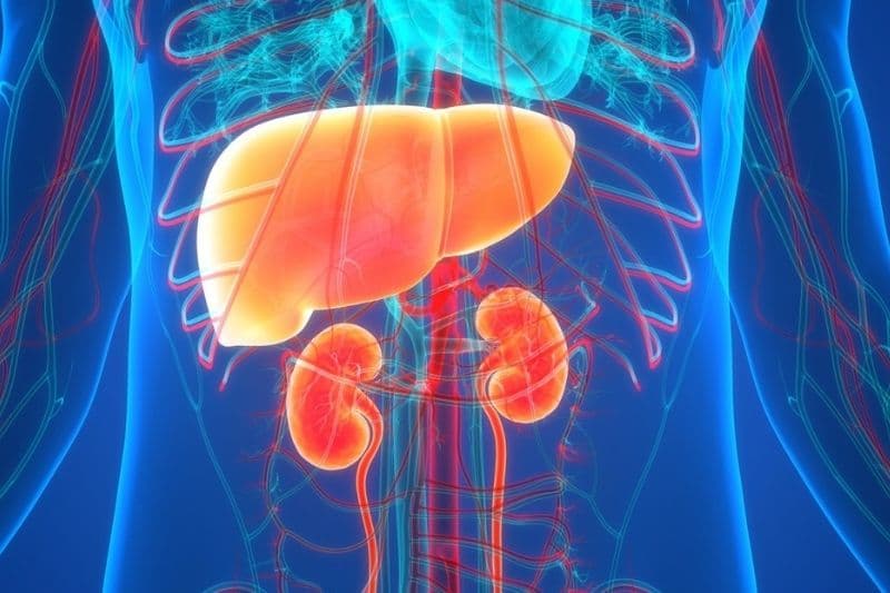 khám tổng quát gan thận