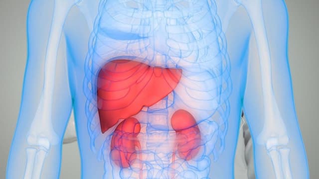 Khám tổng quát gan thận gồm những gì? Quy trình và thời điểm khám