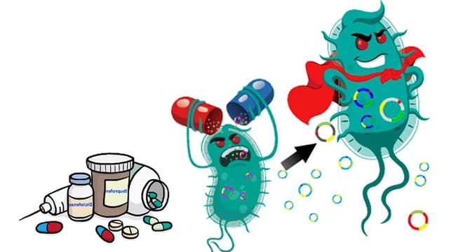 Kháng thuốc kháng sinh là gì? Có chữa được không?