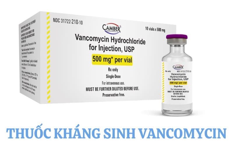 liều vancomycin trong viêm màng não