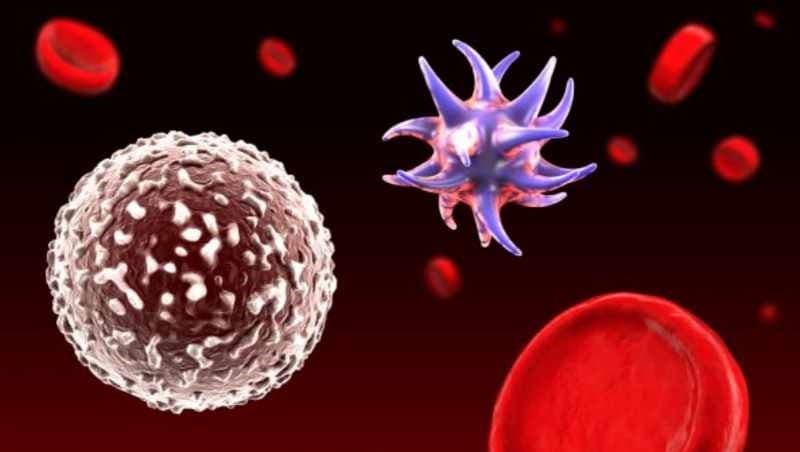 nguyên nhân gây nhiễm trùng máu