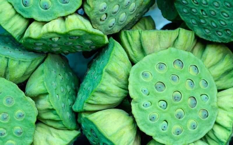 suy thận có ăn được hạt sen không