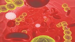 Các nguyên nhân gây nhiễm trùng máu