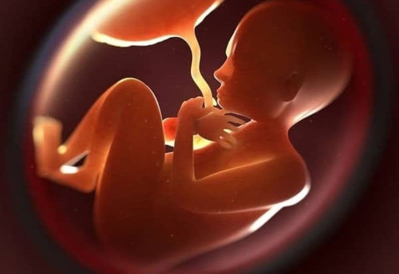 nguyên nhân tiền sản giật khi mang thai