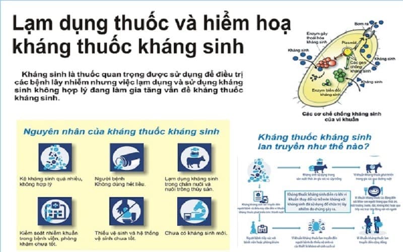 nguyên tắc sử dụng kháng sinh của bộ y tế