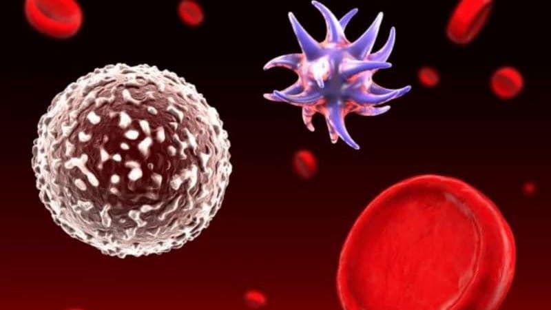 nhiễm trùng máu suy đa tạng