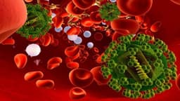 Nhiễm trùng máu có nguy hiểm không?