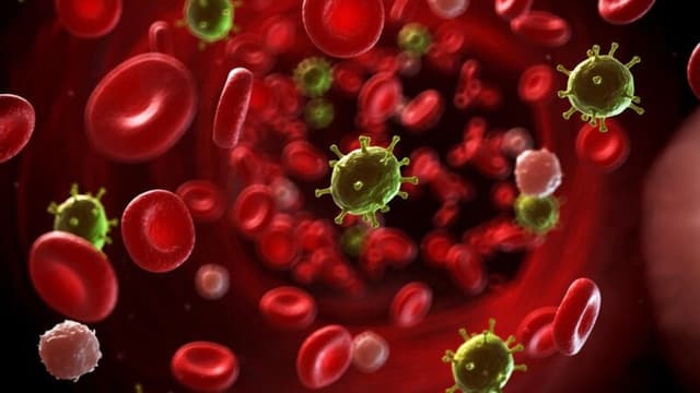 Nhiễm trùng máu ở người già có nguy hiểm?