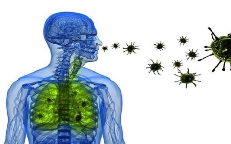 nhiễm trùng phổi là gì