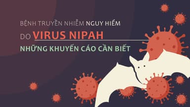 Tỉ lệ tử vong khi nhiễm virus Nipah Ấn Độ