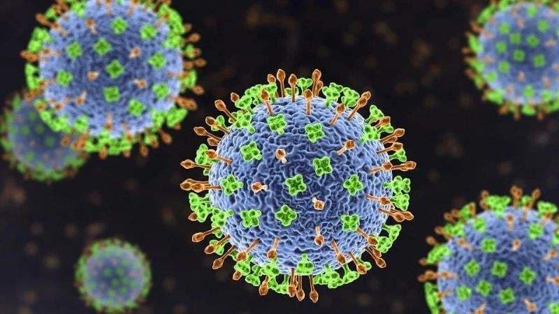 nhiễm virus Nipah