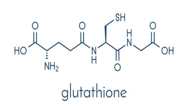 Nồng độ Glutathione trong các khối u ở người