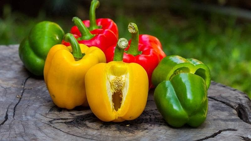 chỉ số đường huyết của ớt chuông