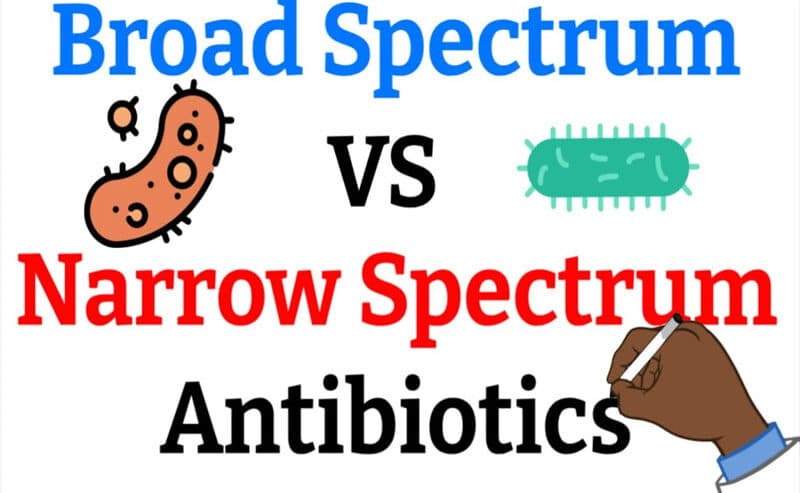 phổ kháng khuẩn của kháng sinh