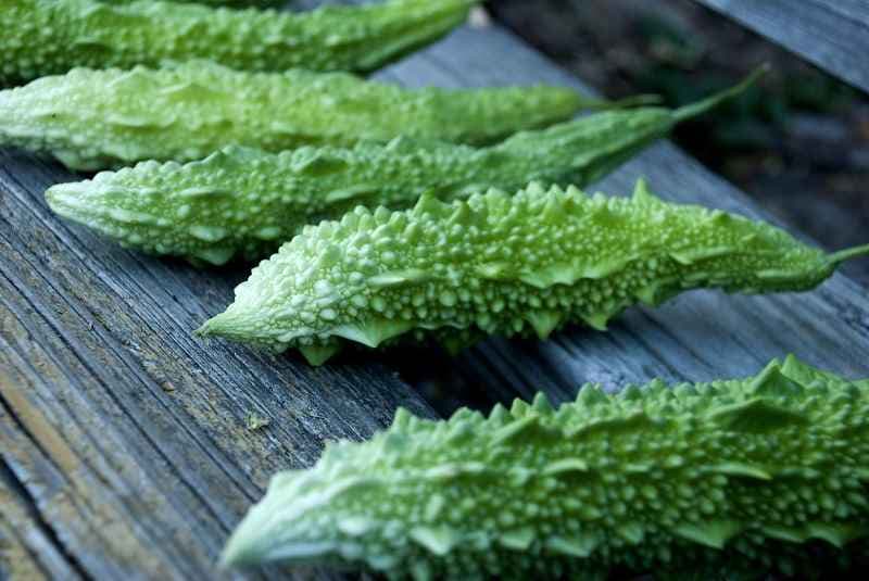 suy thận có ăn được khổ qua không