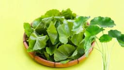 Bị suy thận ăn rau má được không?