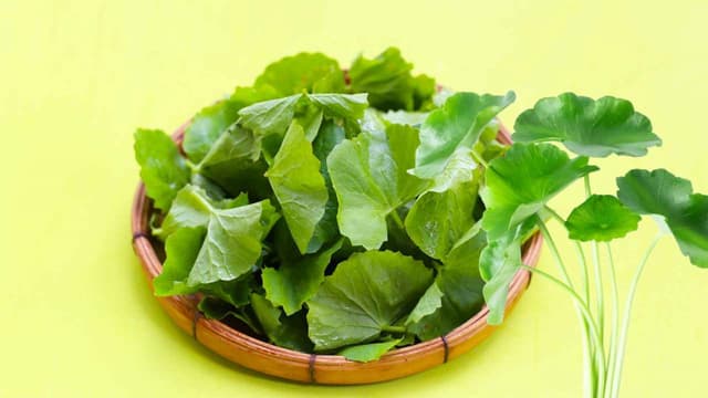 Bị suy thận ăn rau má được không?