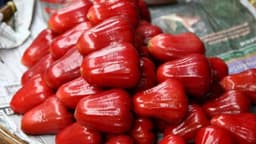 Bị suy thận có ăn được quả roi không?