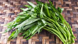 Bị suy thận có ăn được rau muống không?