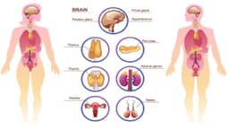 Bị suy tuyến yên có con được không?
