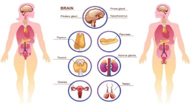 Bị suy tuyến yên có con được không?