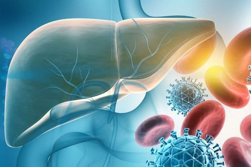 viêm gan b có tái phát không