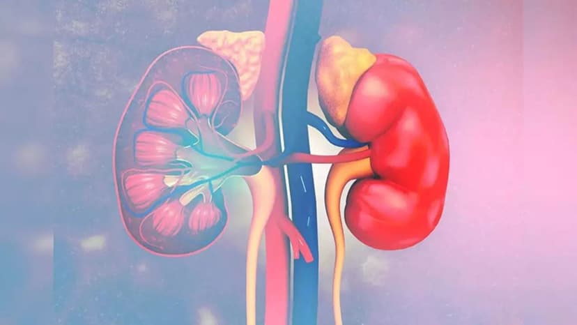 Tăng sản thượng thận bẩm sinh có nguy hiểm không? Phác đồ điều trị và chăm sóc