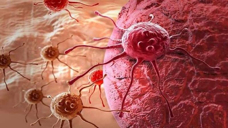 nguyên nhân tăng sinh mạch máu cổ tử cung