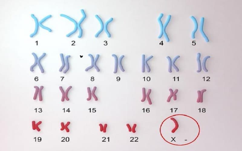 tăng sinh tế bào là gì