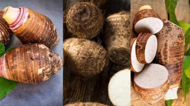 Suy thận ăn khoai môn được không?