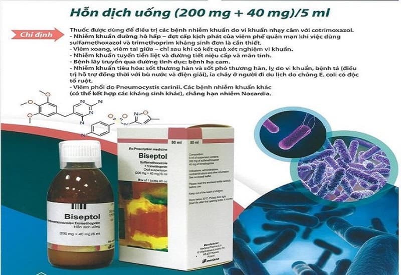 thuốc kháng sinh đường ruột biseptol